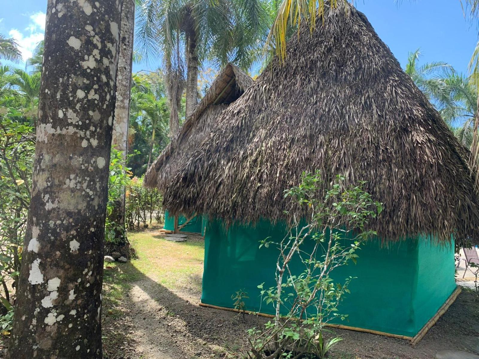Mal Pais Surf Camp 호텔 Playa Santa Teresa  외부 사진
