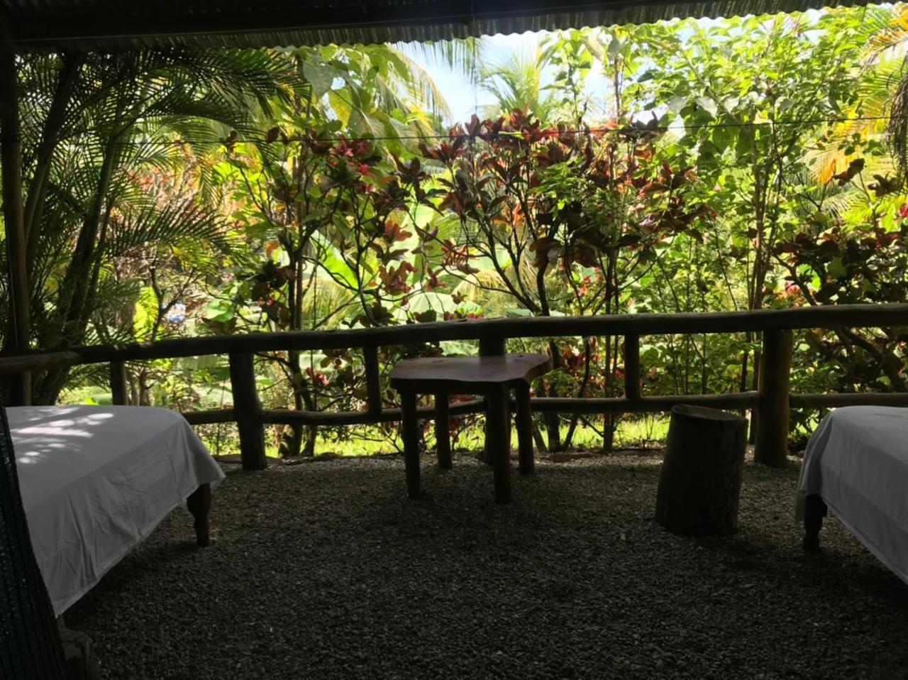 Mal Pais Surf Camp 호텔 Playa Santa Teresa  외부 사진