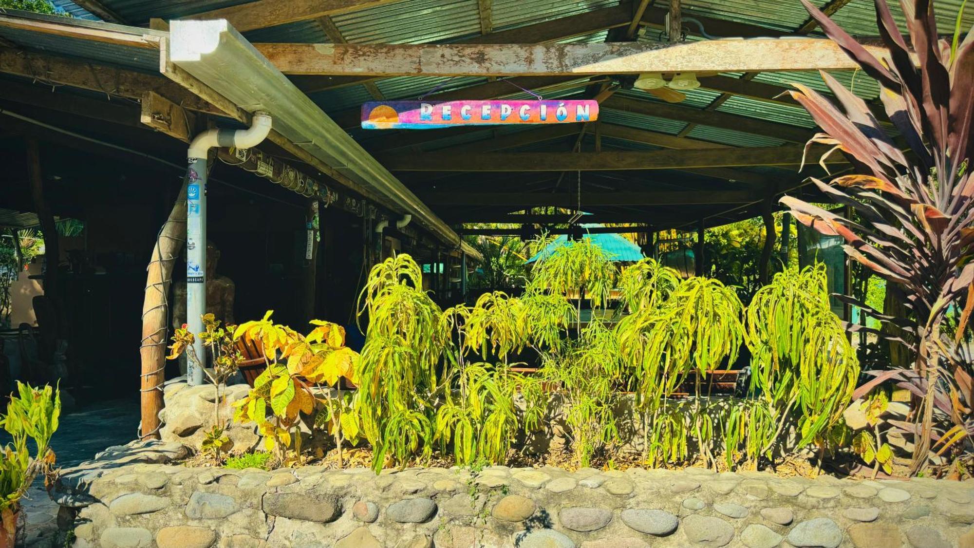 Mal Pais Surf Camp 호텔 Playa Santa Teresa  외부 사진