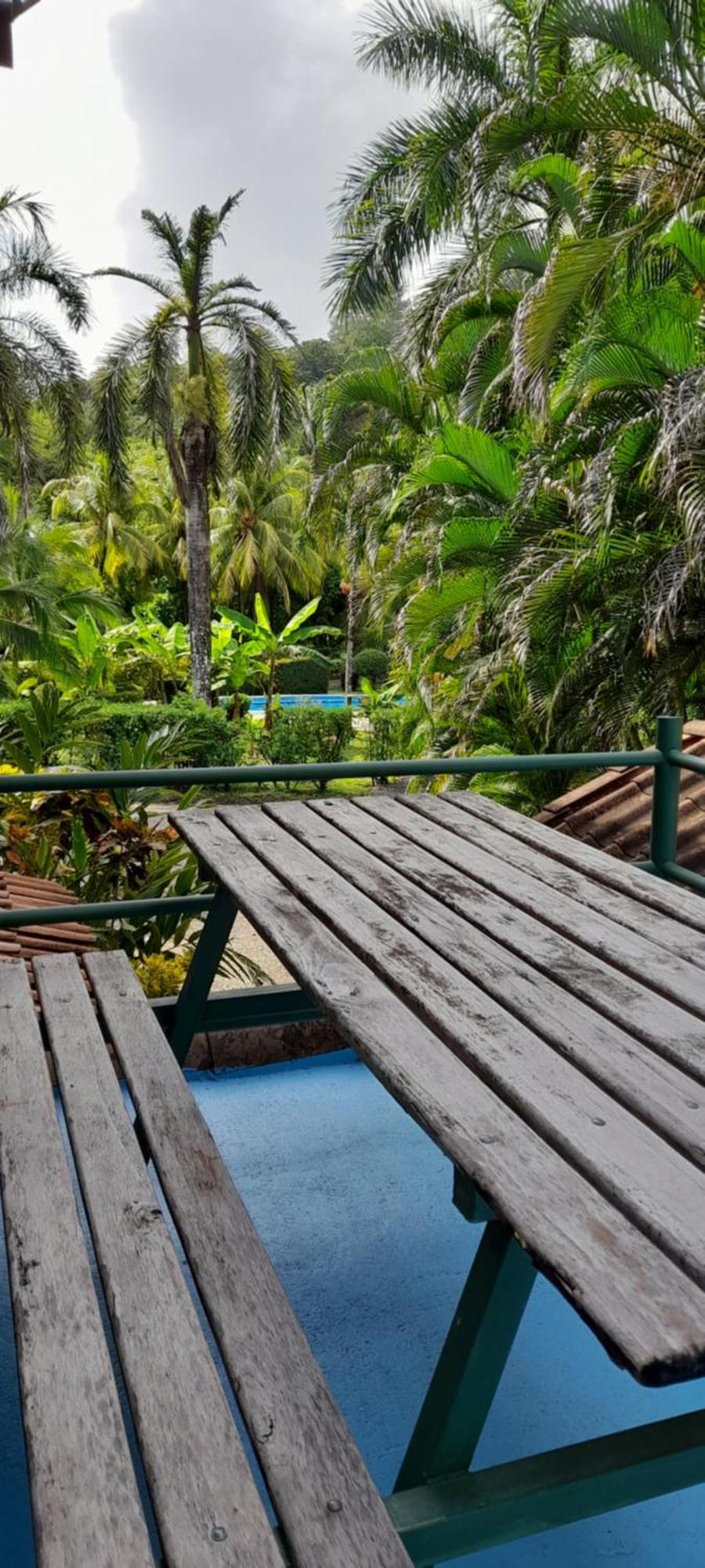 Mal Pais Surf Camp 호텔 Playa Santa Teresa  외부 사진