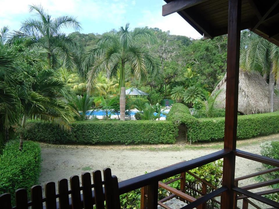 Mal Pais Surf Camp 호텔 Playa Santa Teresa  외부 사진