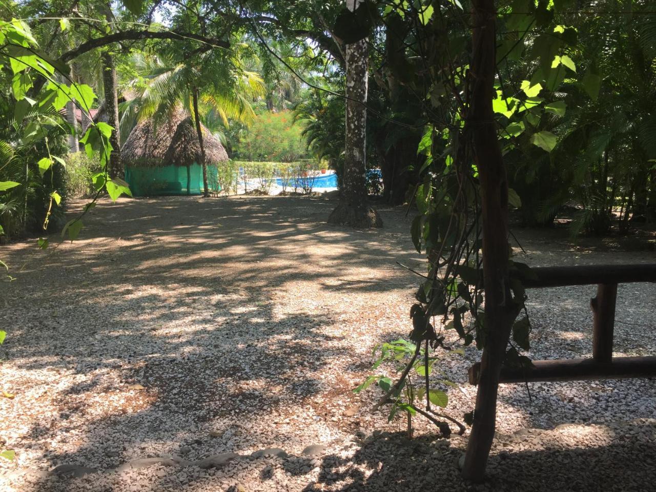 Mal Pais Surf Camp 호텔 Playa Santa Teresa  외부 사진