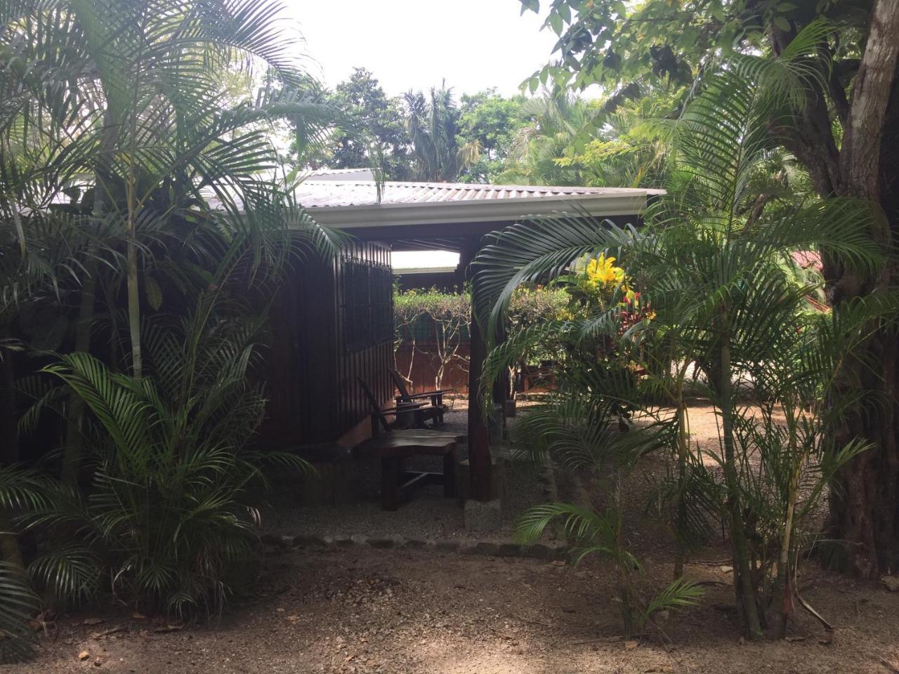 Mal Pais Surf Camp 호텔 Playa Santa Teresa  외부 사진